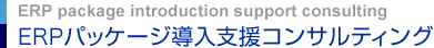 ERPパッケージ導入支援コンサルティング