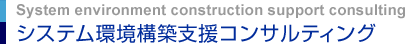 システム環境構築支援コンサルティング